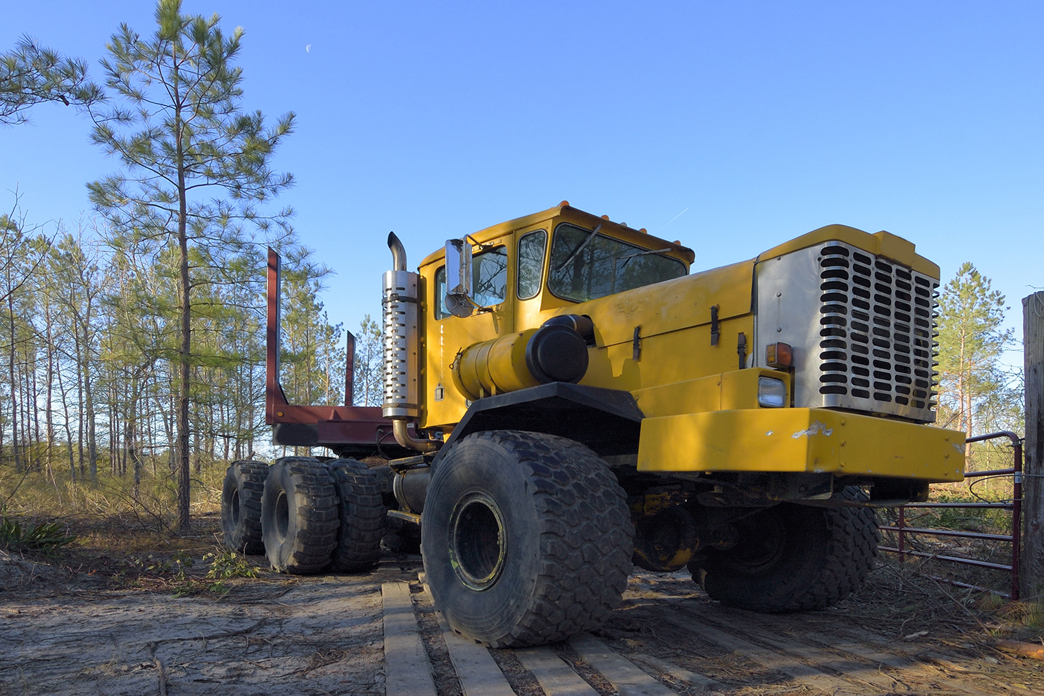 A yellow logging truck with oversized tires and an empty log bed sits on a wooden mat road beside young pine trees under a clear sky.