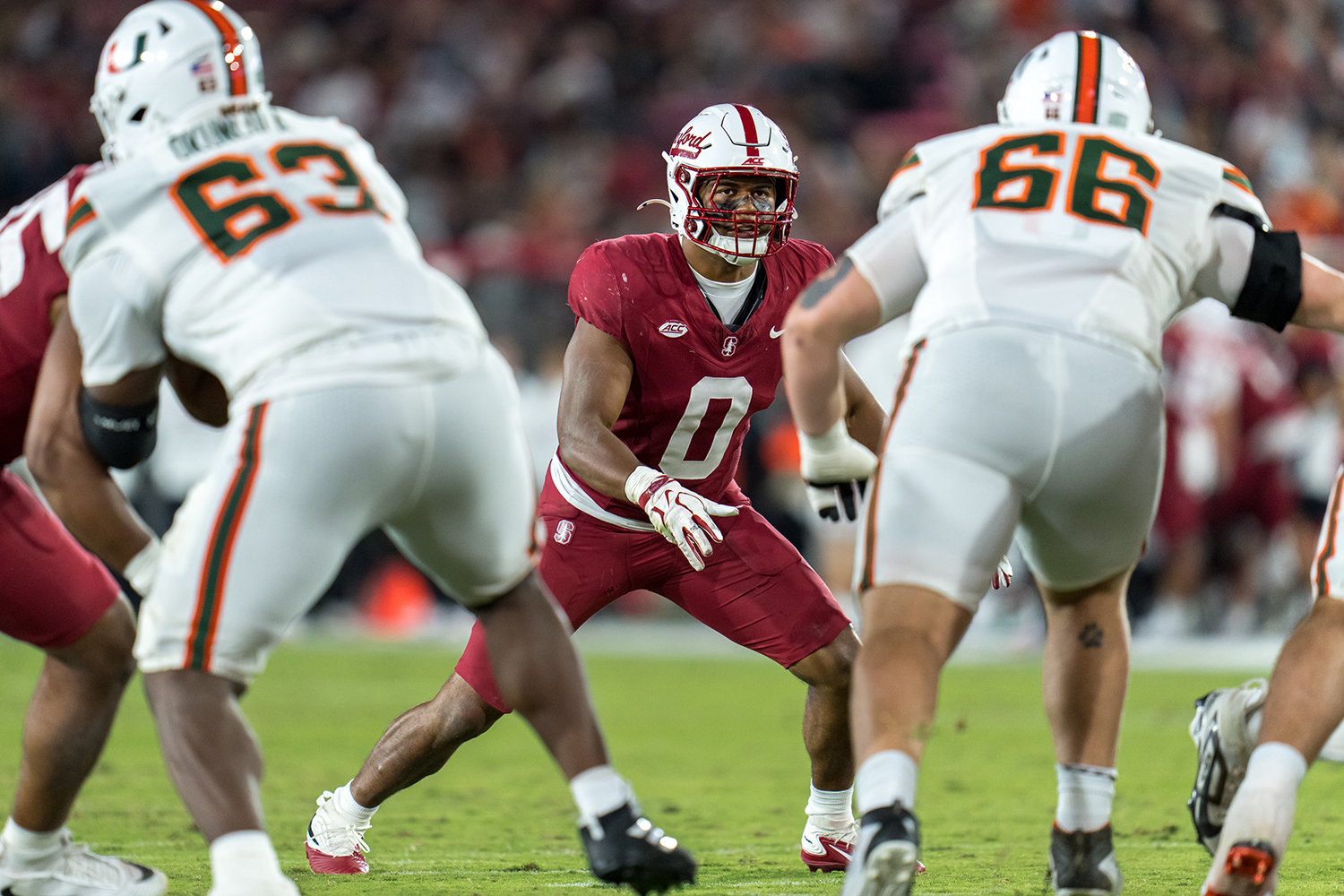 A Cardinal linebacker crouches in a ready stance between two Miami linemen on the field.