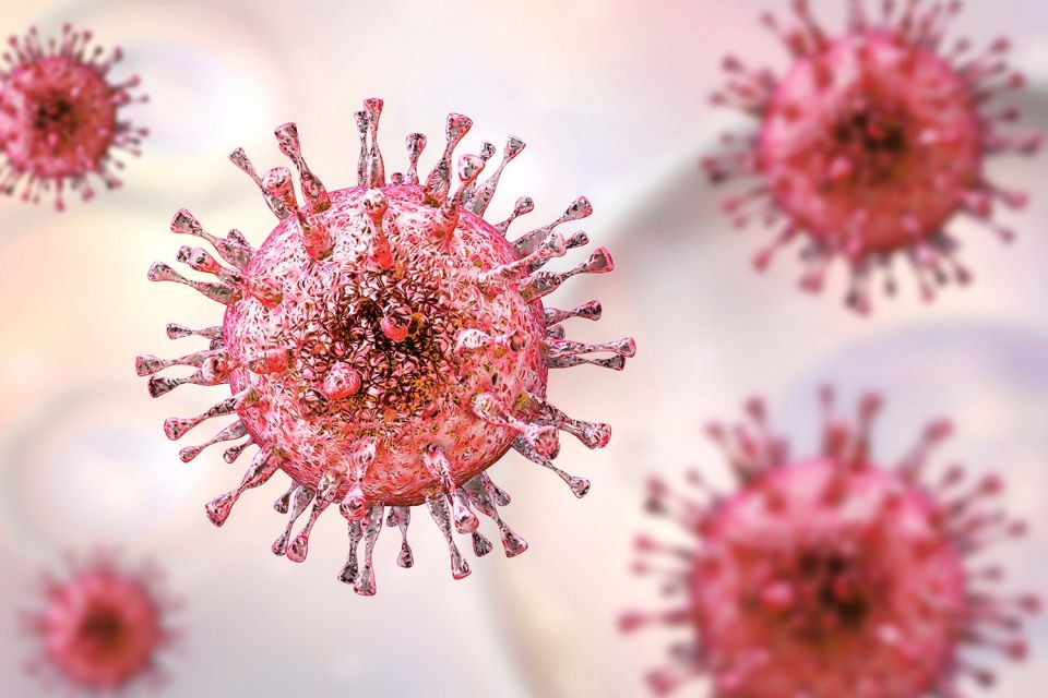 Illustration of Cytomegalovirus