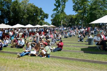 view of people picnicking on the lawn and tables at Frost Amphiteater during Springfest
