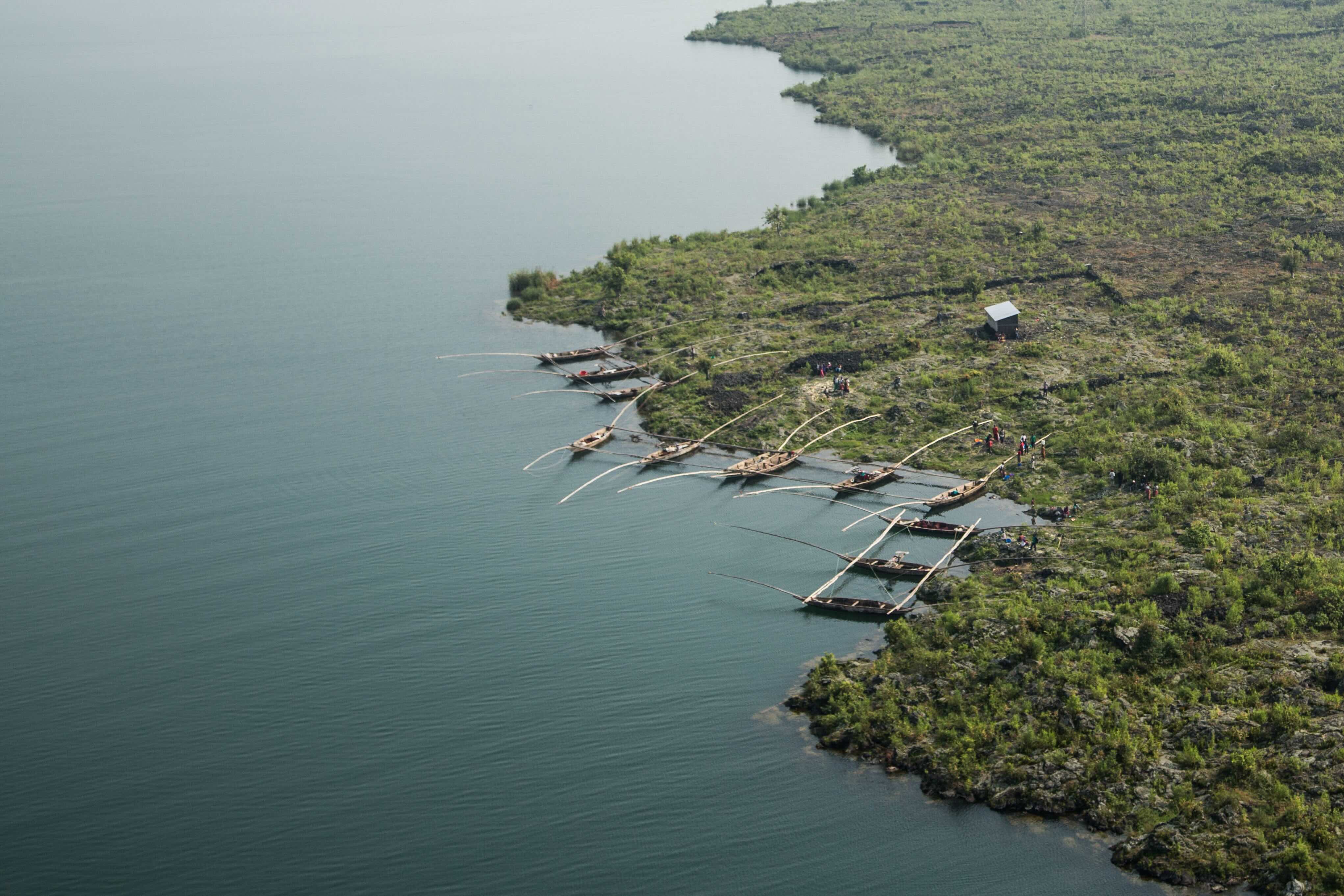 Aerial view of a forest with fishing boats along the coast
