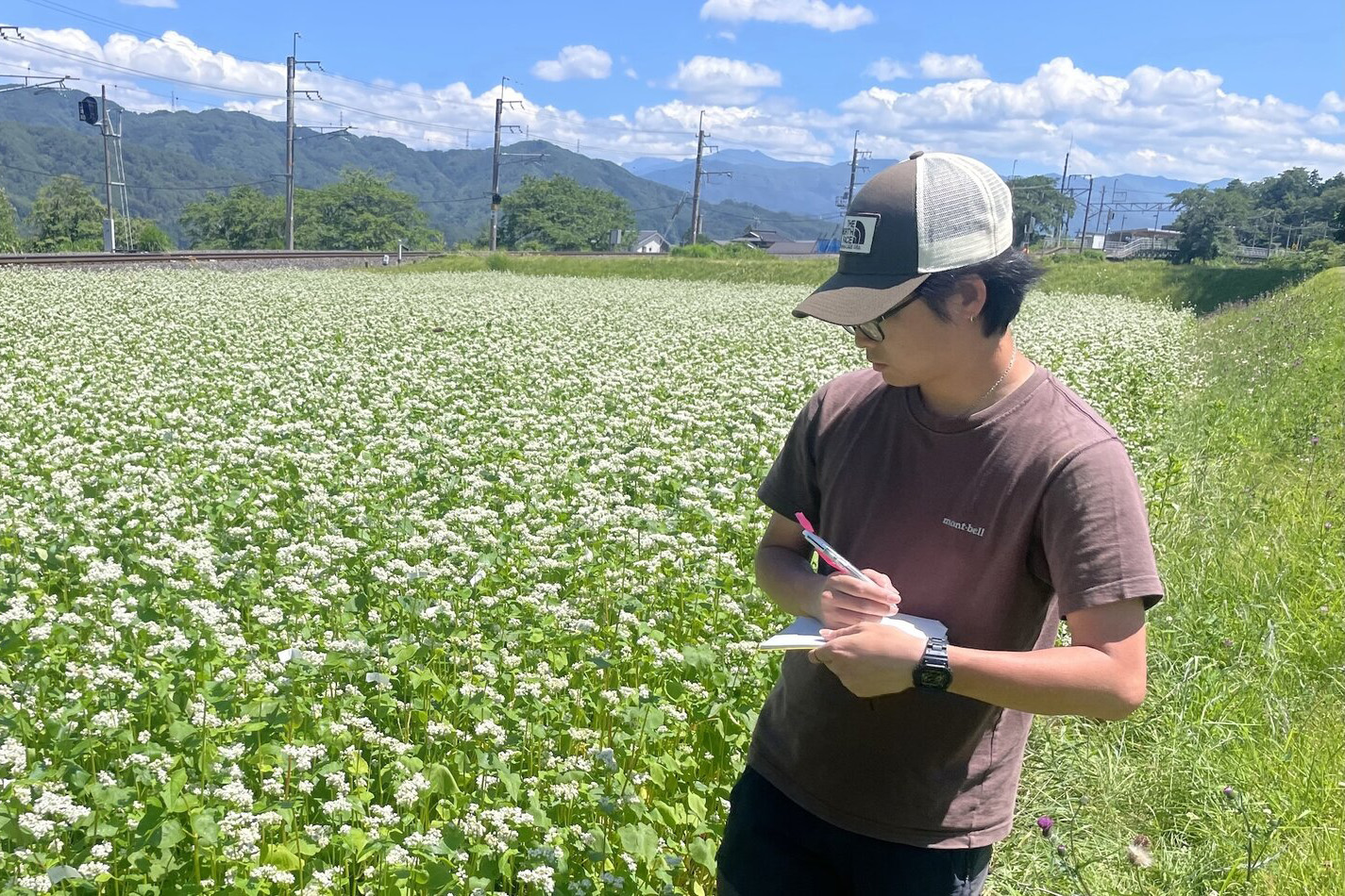 A researcher standing in a field of buckwheat records insect visits on a pad.