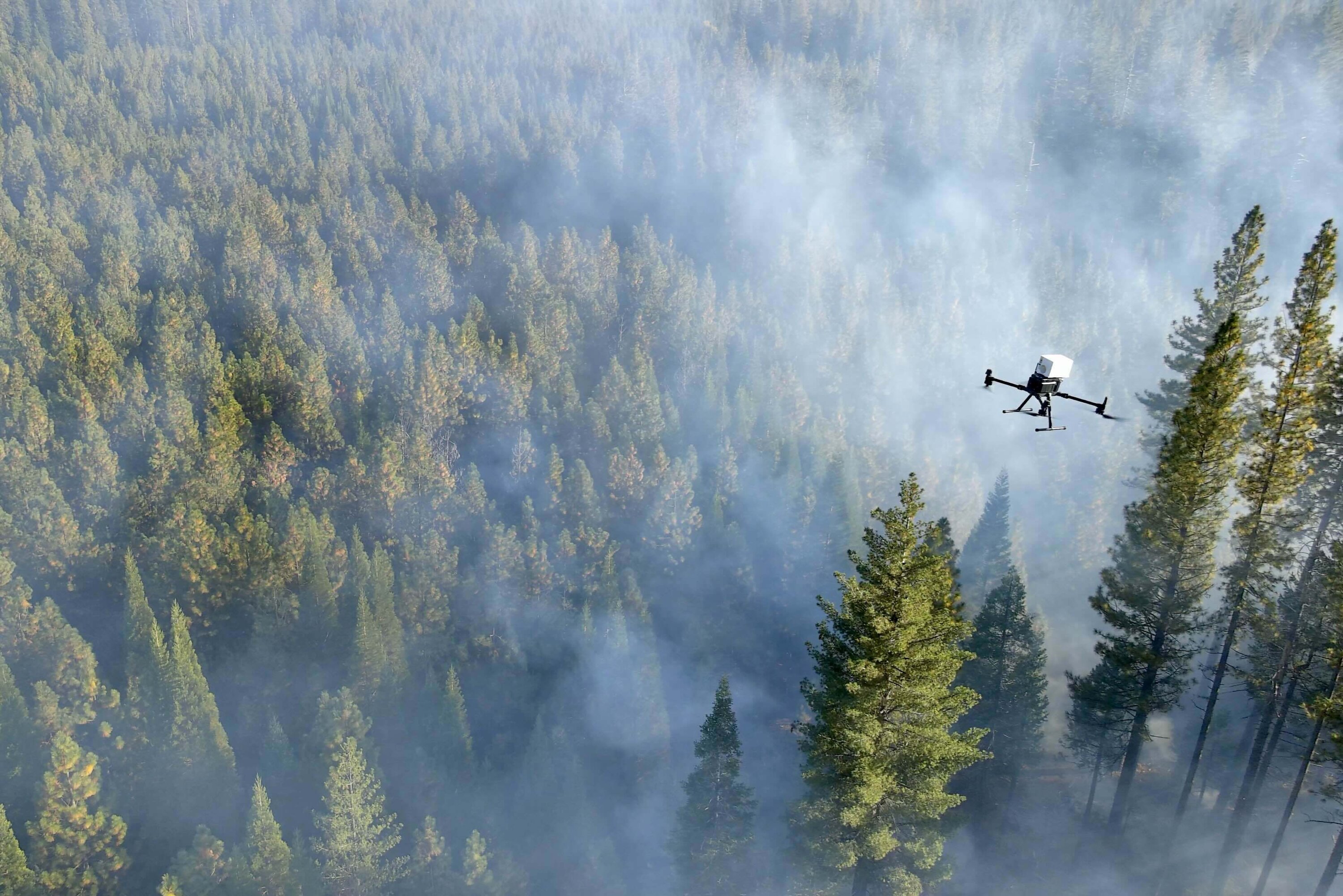 A drone flies over a forest filled with smoke, monitoring potential fire hazards among the tall green trees.