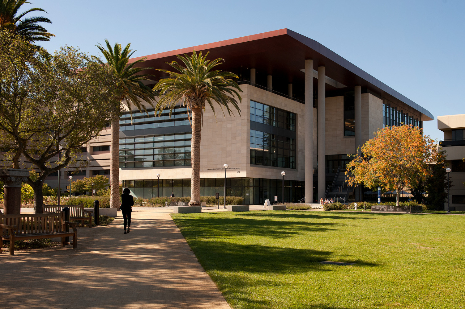A modern stone-and-glass campus building with a wide copper-toned roof stands beyond a lawn, palm trees, and a path where one person walks.