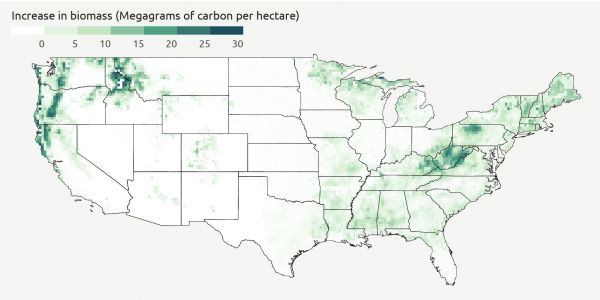 Map: Potential increase in plant biomass in the U.S. for carbon dioxide levels expected in 2100.