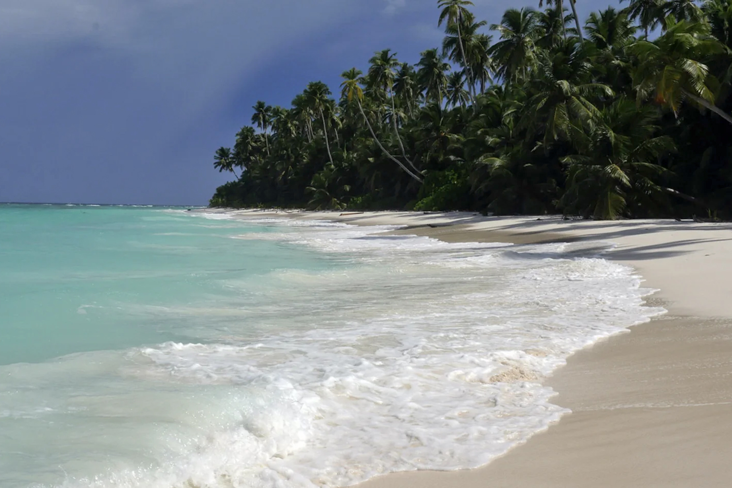 Image of an island beach in the Chagos Archipelago.