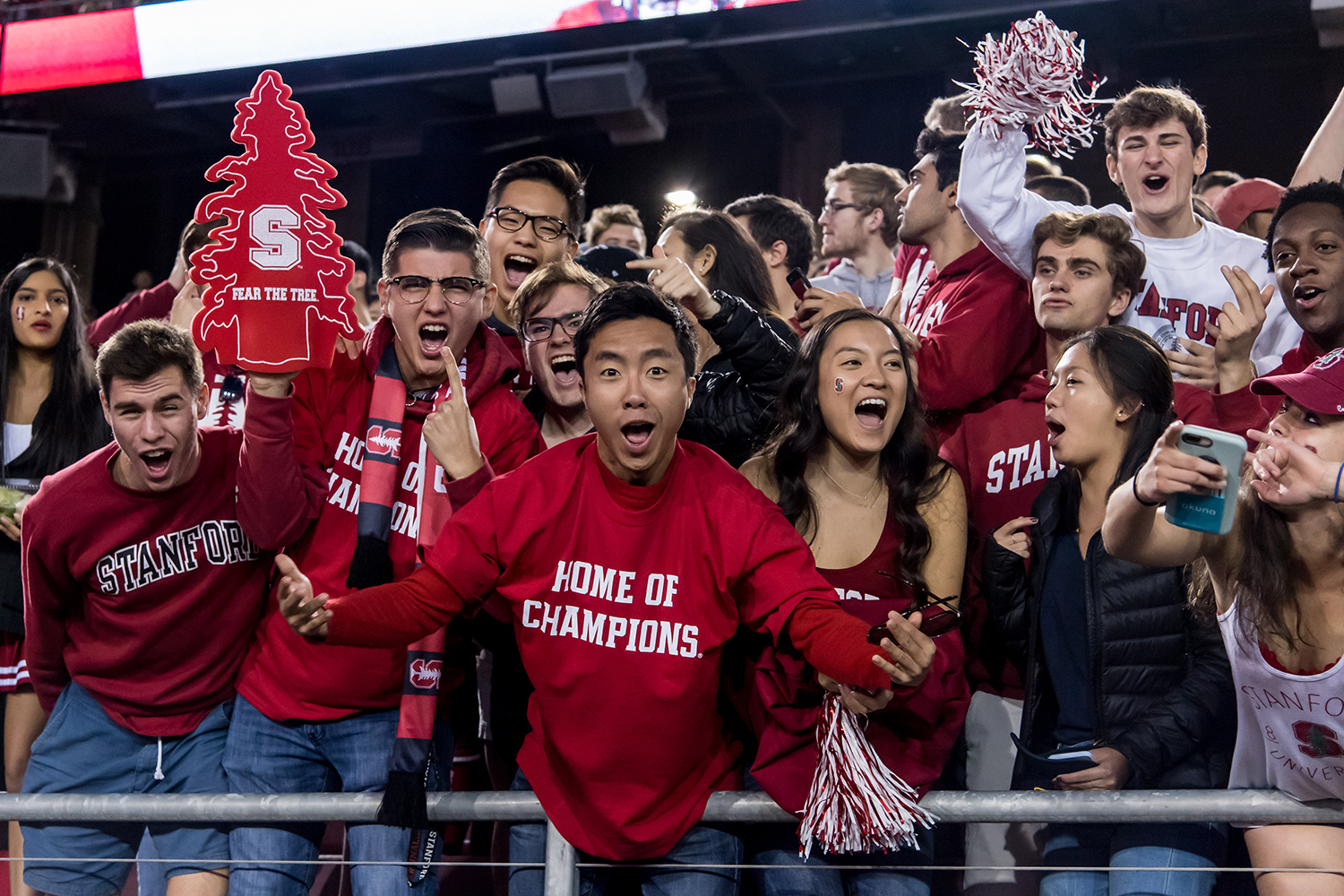 Stanford fans cheer in the stands, one holding a tree-shaped foam cutout that reads Fear the Tree.