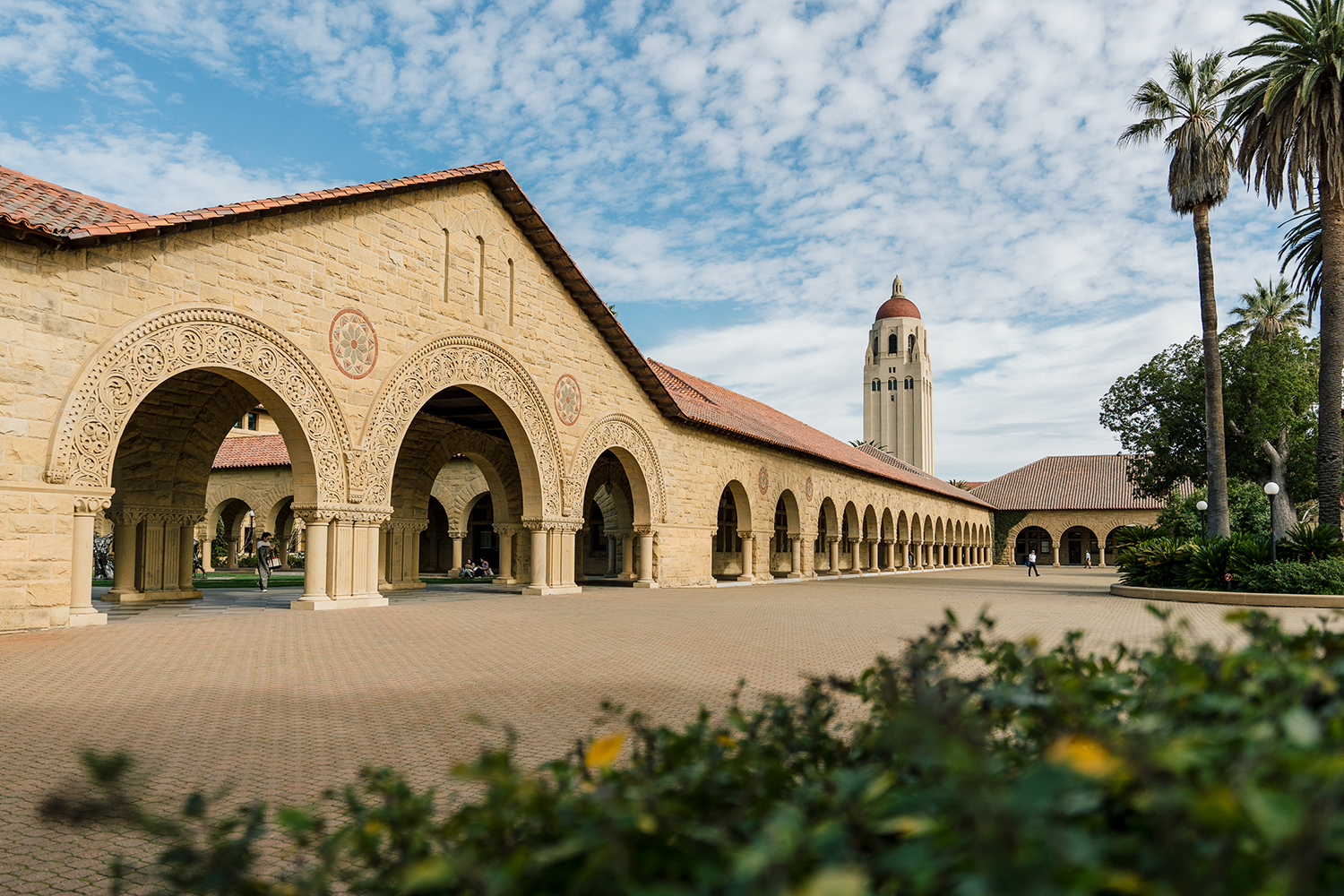 Sandstone arcade of the Main Quad with Hoover Tower rising in the background and greenery in the foreground.