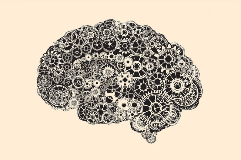 Where mathematics and biology meet | Stanford Report