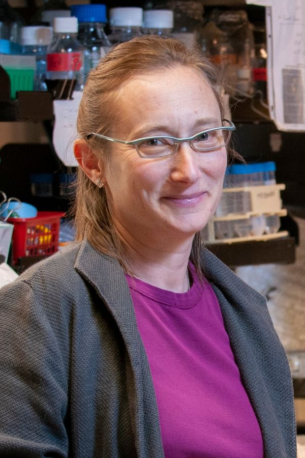 Biology Professor Judith Frydman.