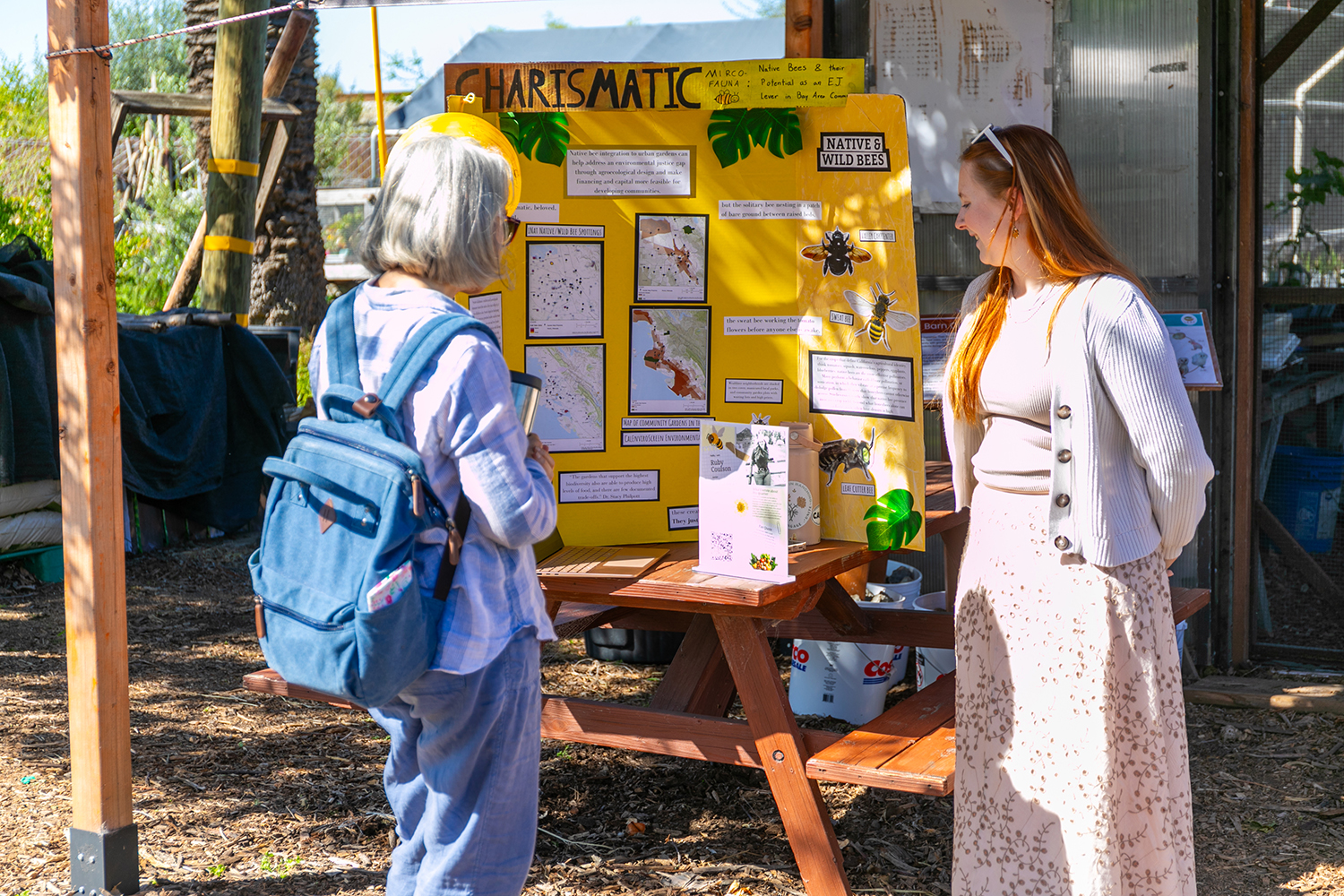 Two people examine an informational display about native and wild bees at a community event in a garden.