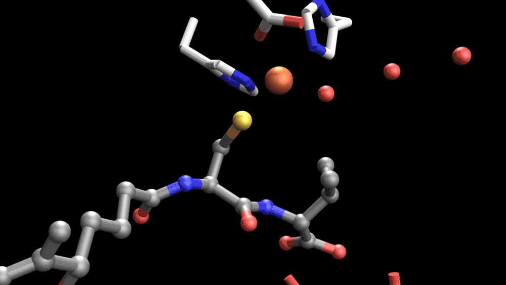 A 3D rendering of a molecule’s atoms, shown as colored balls and sticks, floating against a black background.