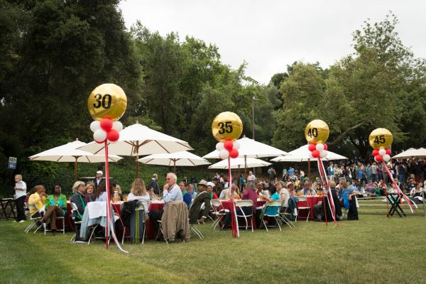 Multicultural Springfest tents