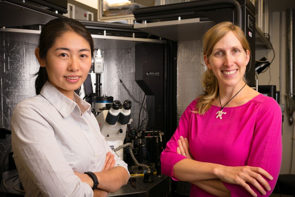 Jennifer Dionne and Yang Zhao in the Dionne Lab