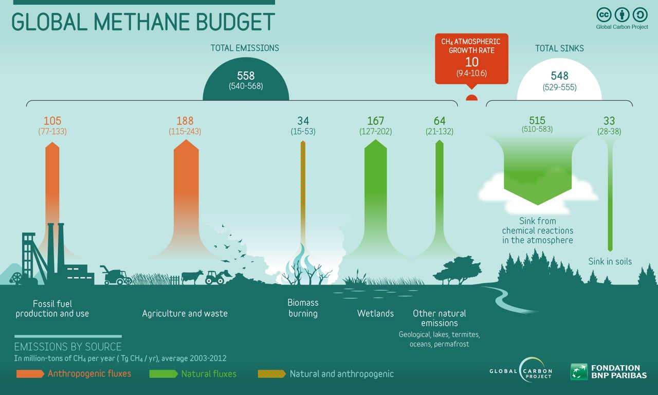 methanecycle