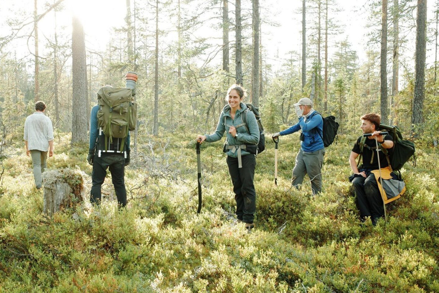 Five hikers explore a green forest, carrying backpacks and hiking poles.