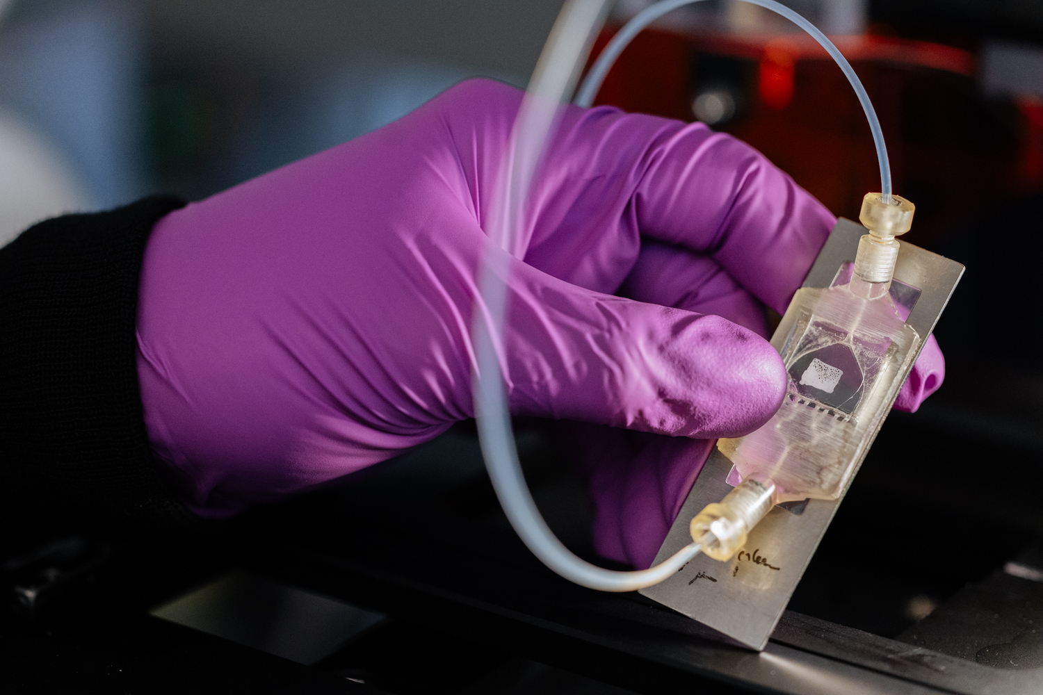 A gloved hand holds a small, transparent device with tubing, typically used in laboratory experiments or tests.
