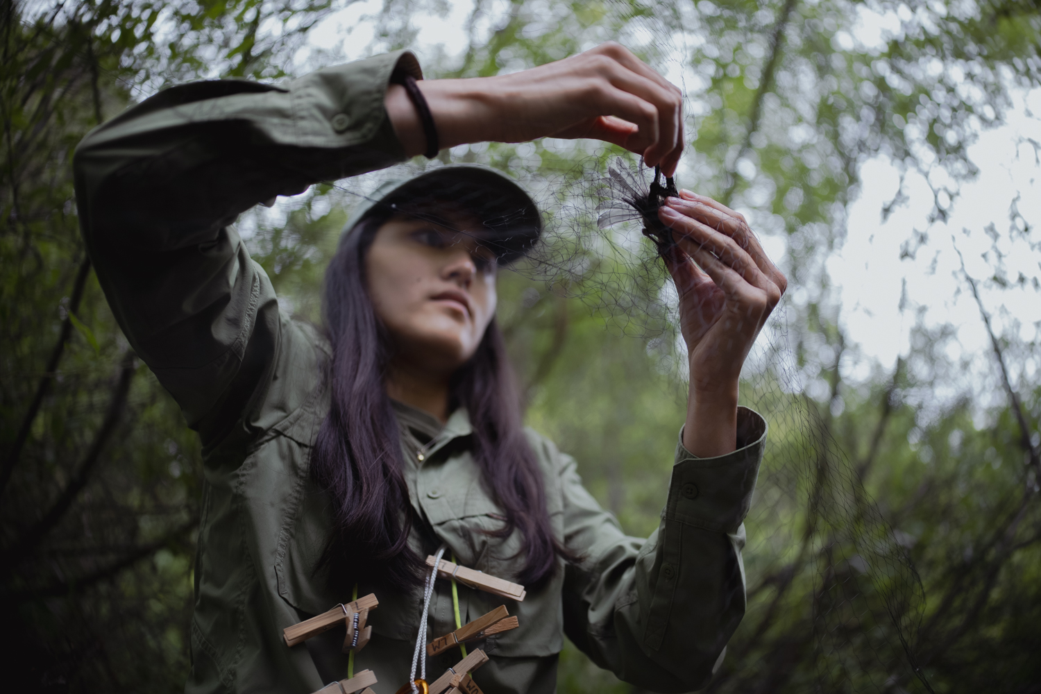 Woman gently releases bird from a net.
