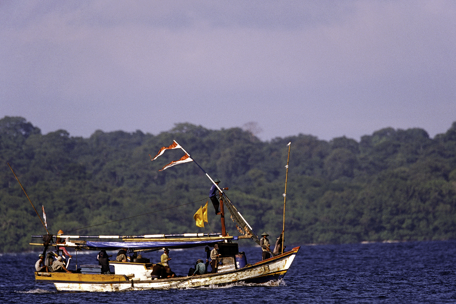 A fishing boat with several crew members sails on a calm sea, surrounded by lush green trees and blue skies.