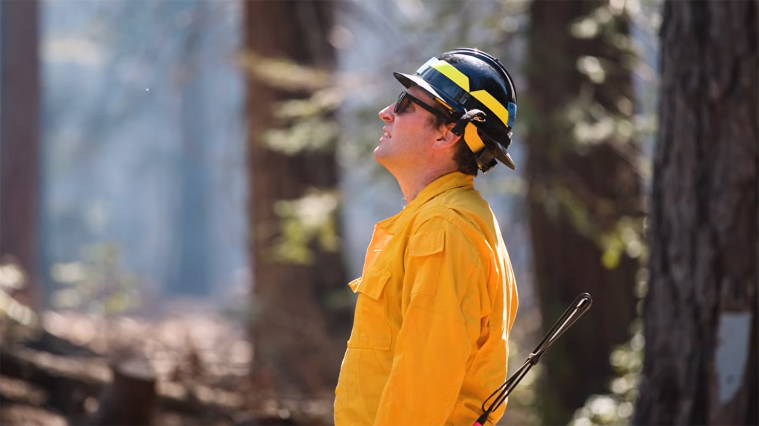 A person in a yellow uniform and helmet looks up, surrounded by trees in a smoky forest.