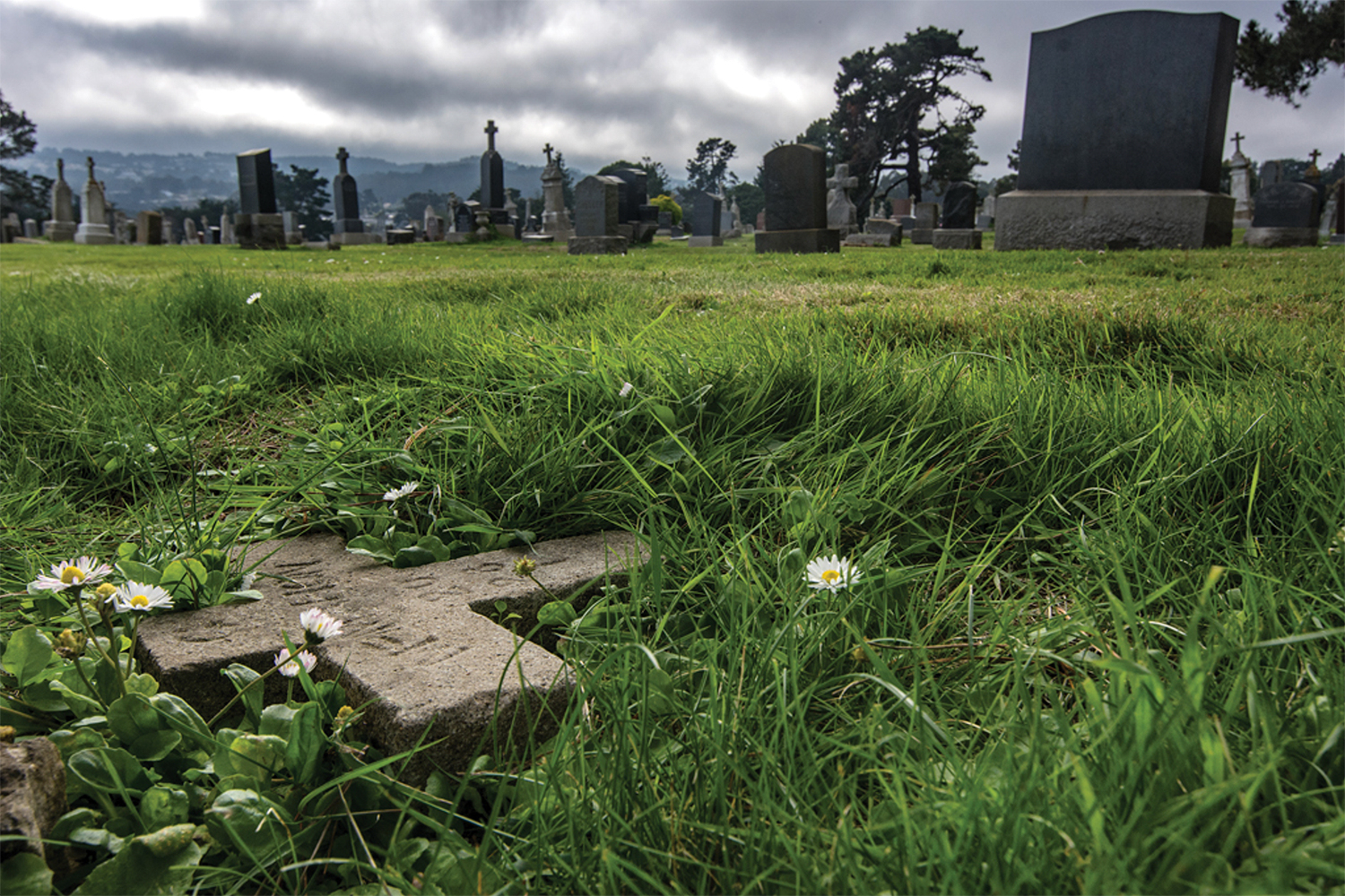 Image of a single grave site in the Holy Cross cemeter.y