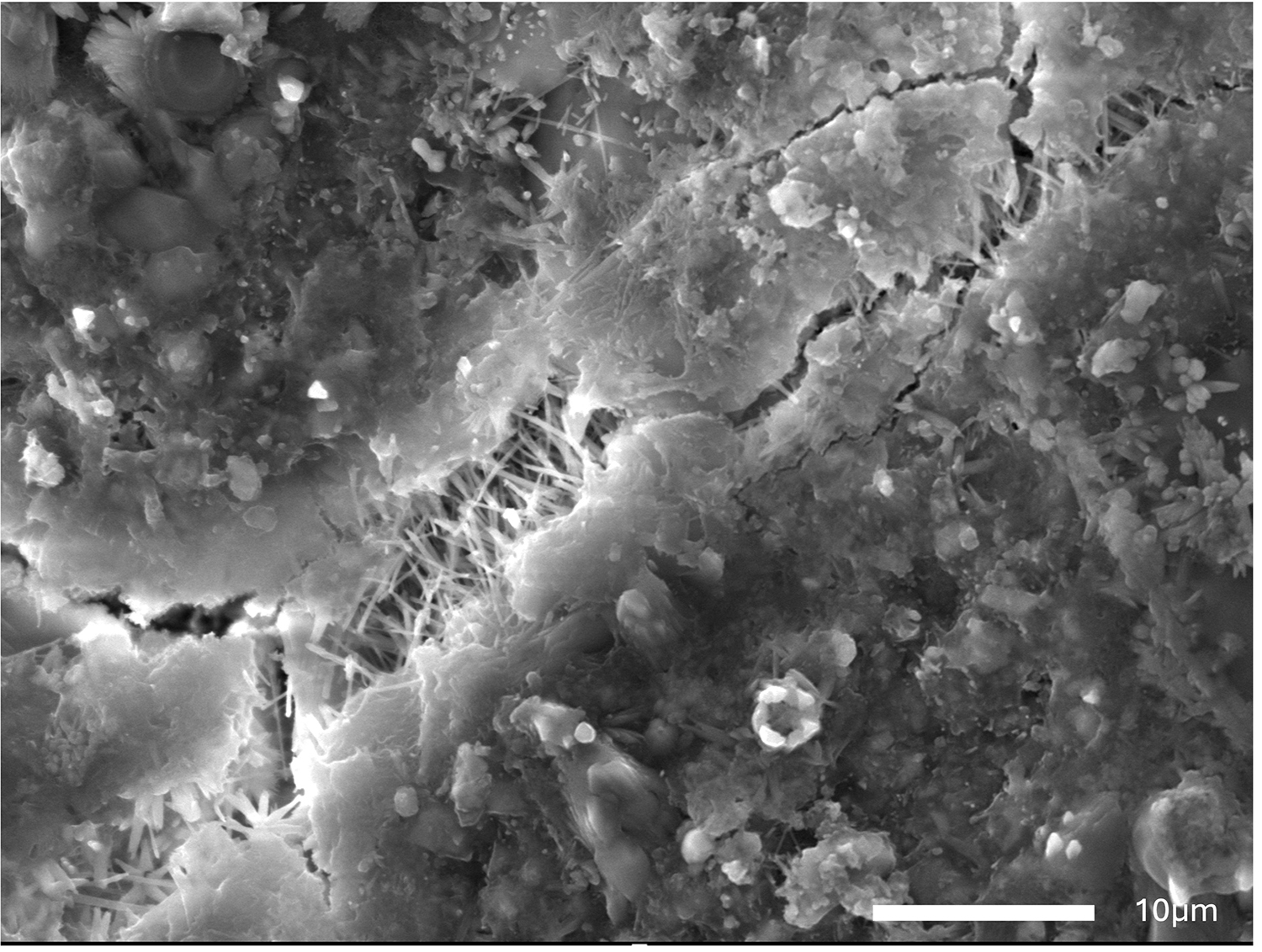 A close-up electron microscope image shows a textured surface with various particles and structures, highlighting material composition at a microscopic level.