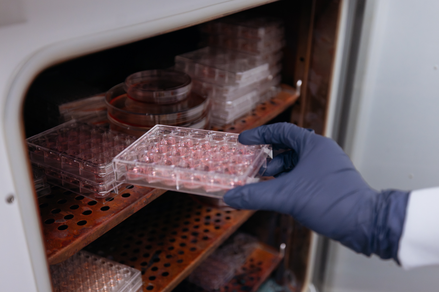 A gloved hand reaches for a well plate from a shelf in a laboratory.