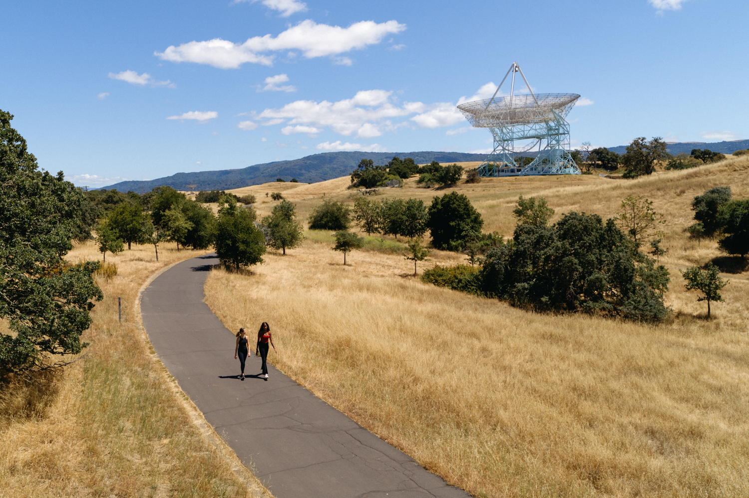 Two people walk side by side on a path surrounded by grassland, with a large radio telescope visible in the background under a blue sky.