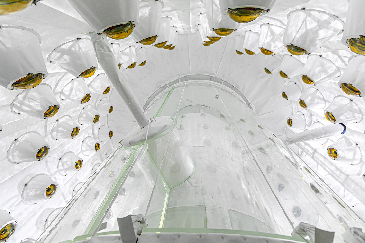 Looking up inside a white detector chamber lined with dozens of gold-domed light sensors around a clear central tank.