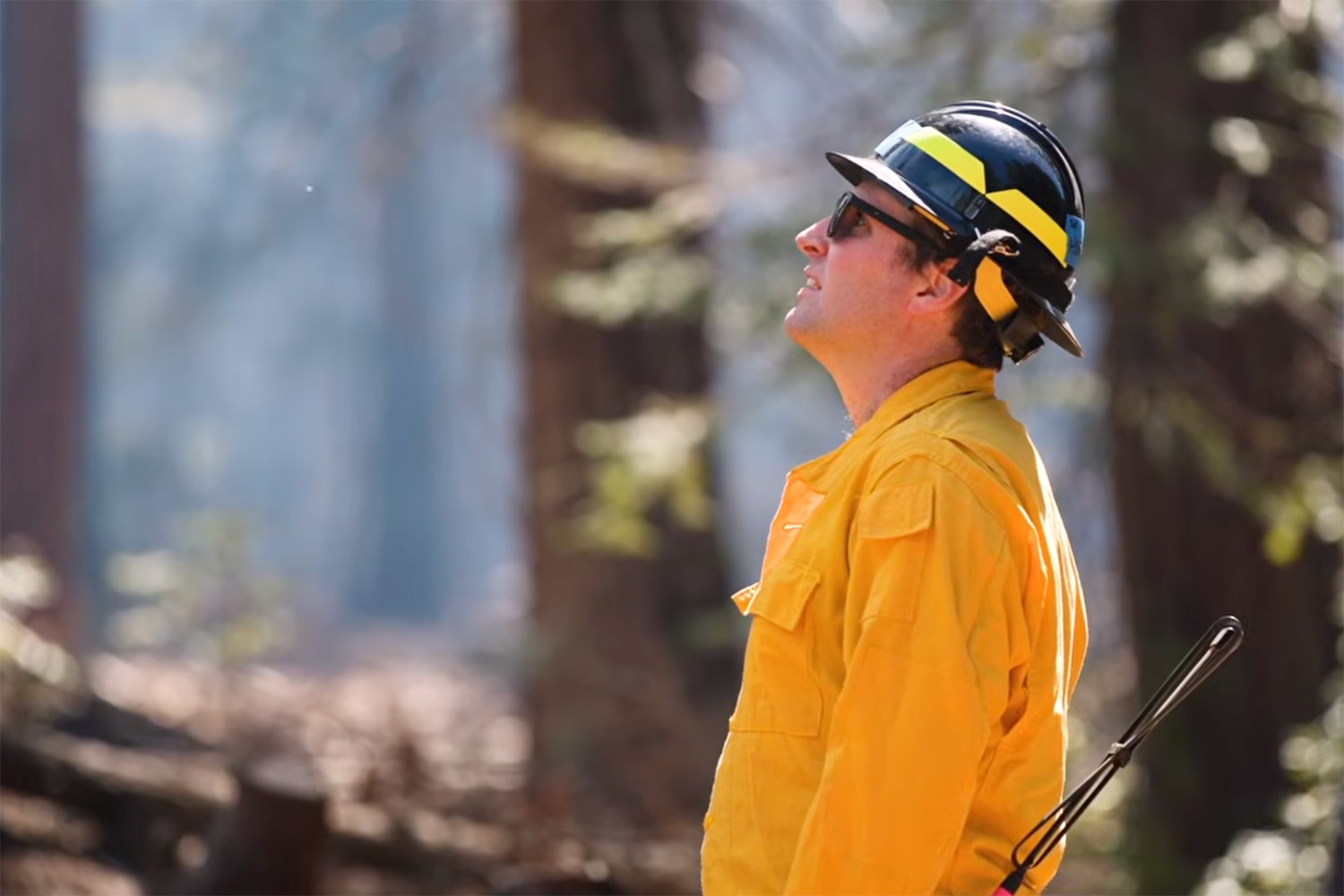 Open video A person in a yellow uniform and helmet looks up, surrounded by trees in a smoky forest. in a modal