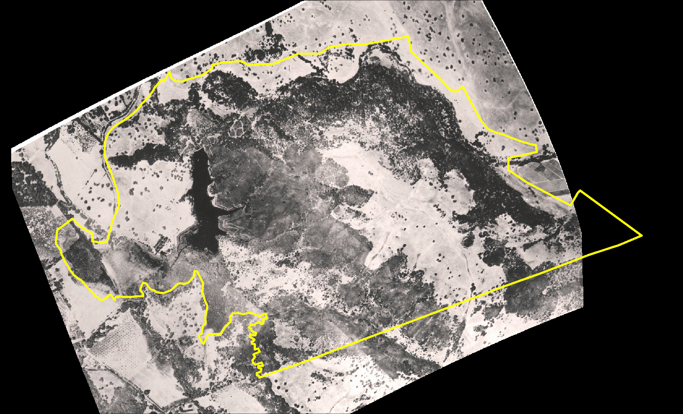 A GIF of various images taken by a drone of Jasper Ridge.