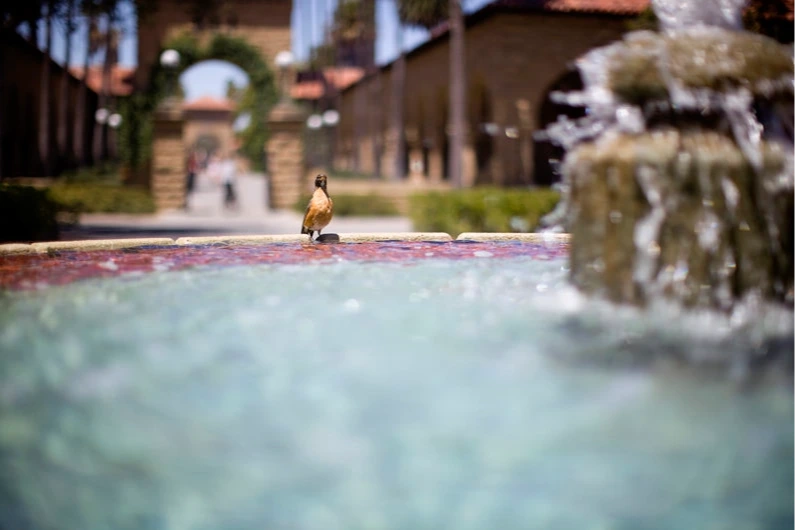 Bing Wing fountain.