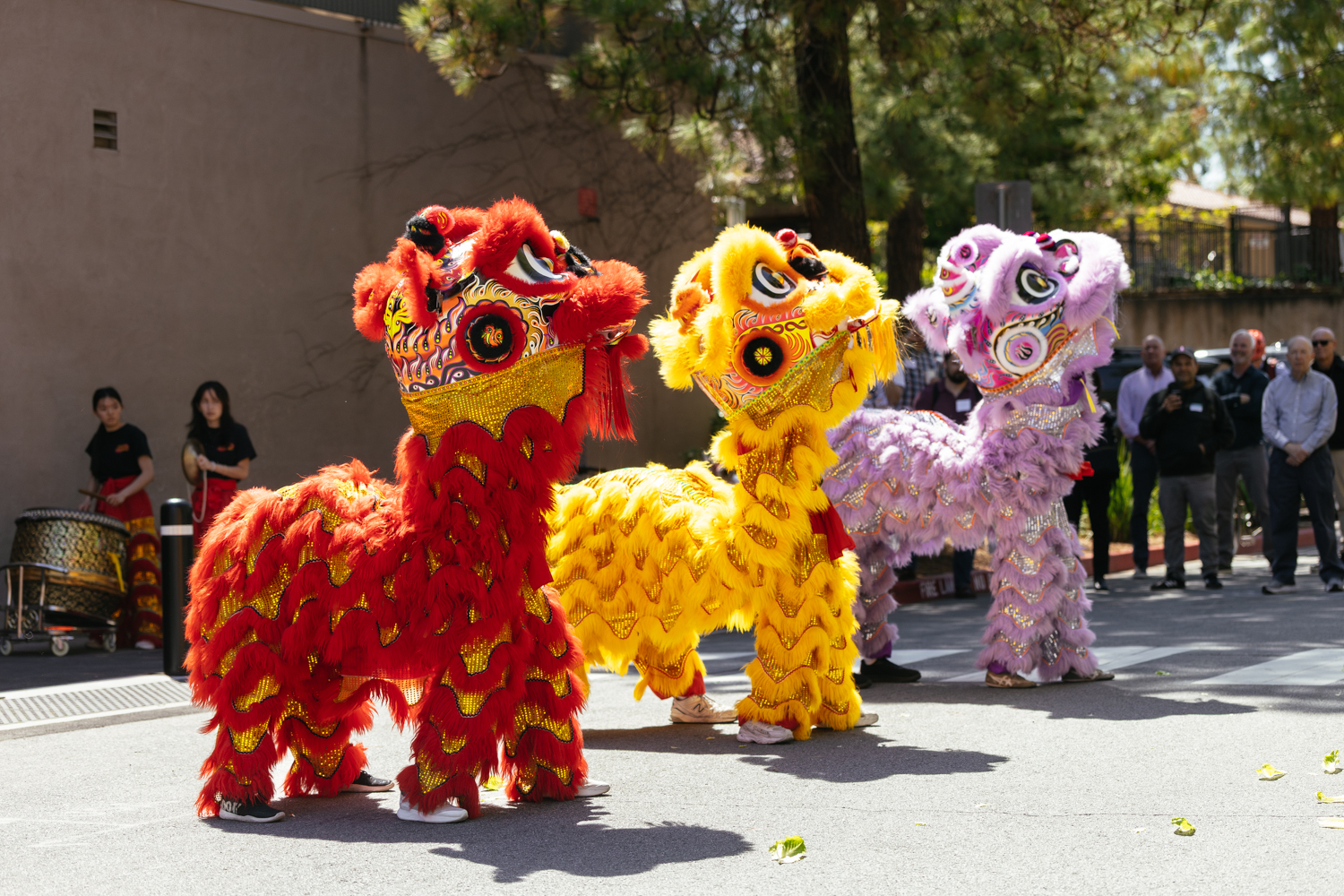 Lion dancers in colorful costumes perform during a celebration, with spectators watching in the background.