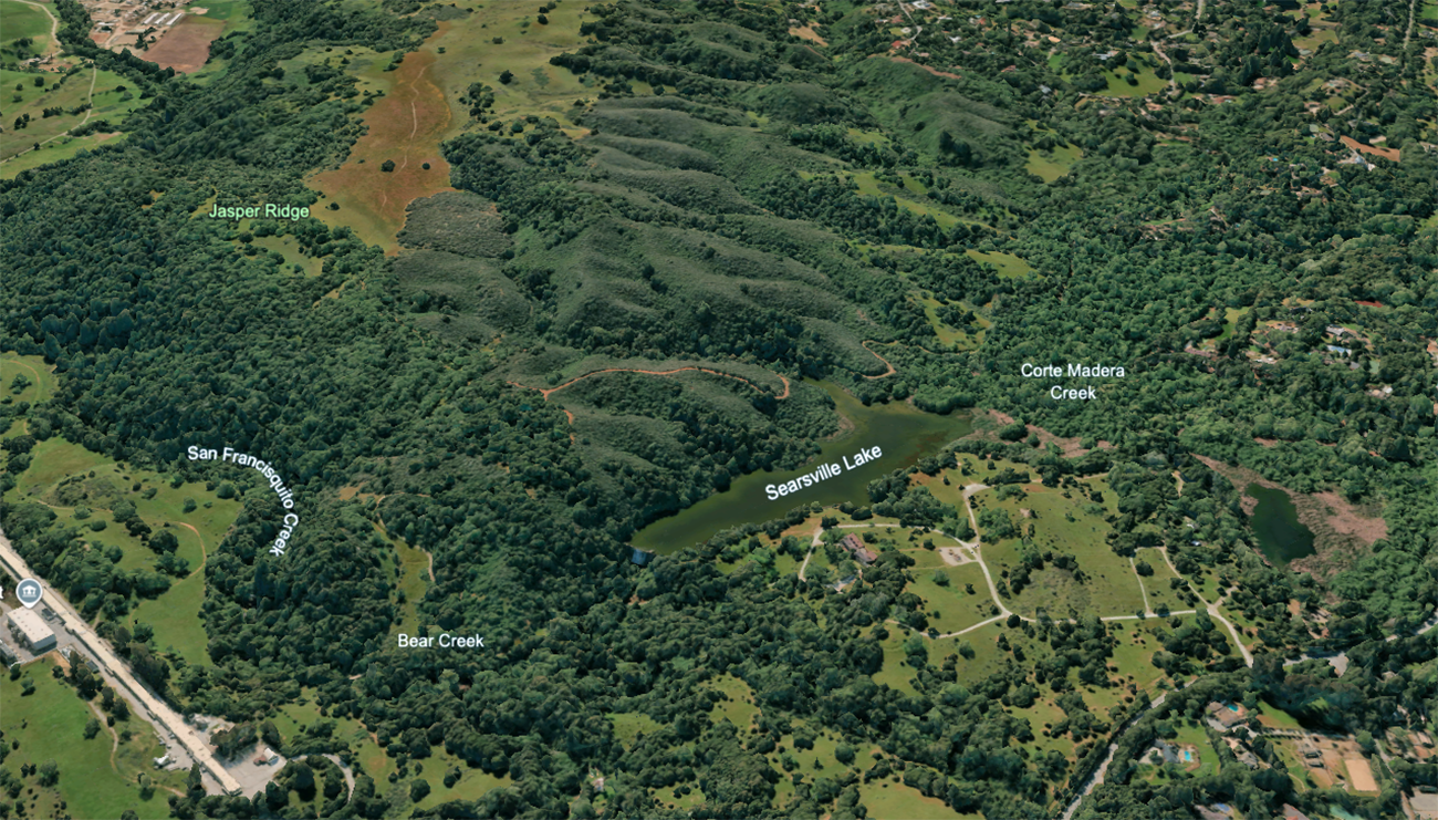 A Google Earth image of Jasper Ridge.