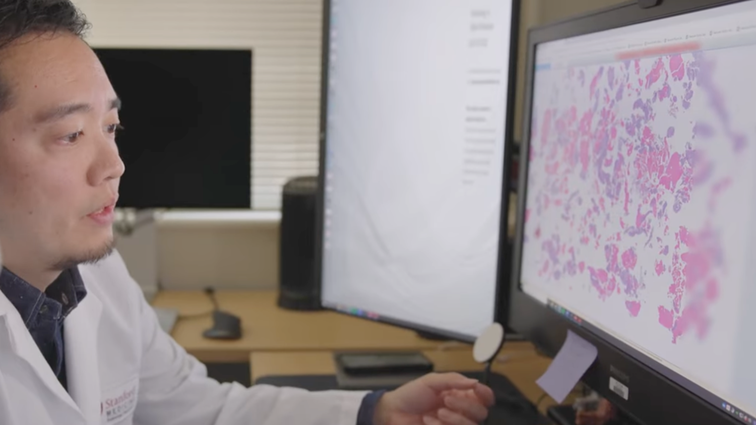 Scientist using Nuclei.io