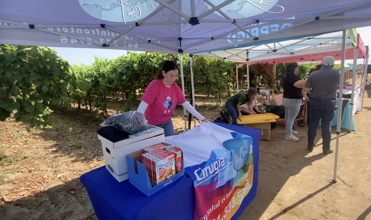 Angela Mata WIlliams sets up a vendor booth with food items and drinks among grapevines at a market.