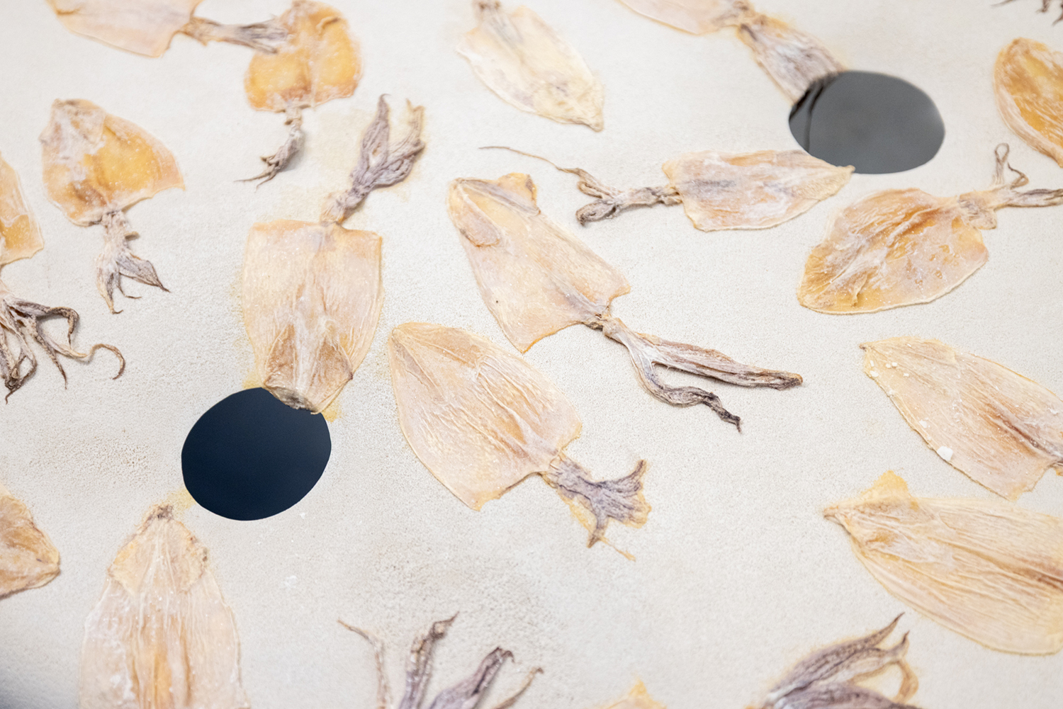 A close view of dried squid laid across a pale surface dotted with round black openings.