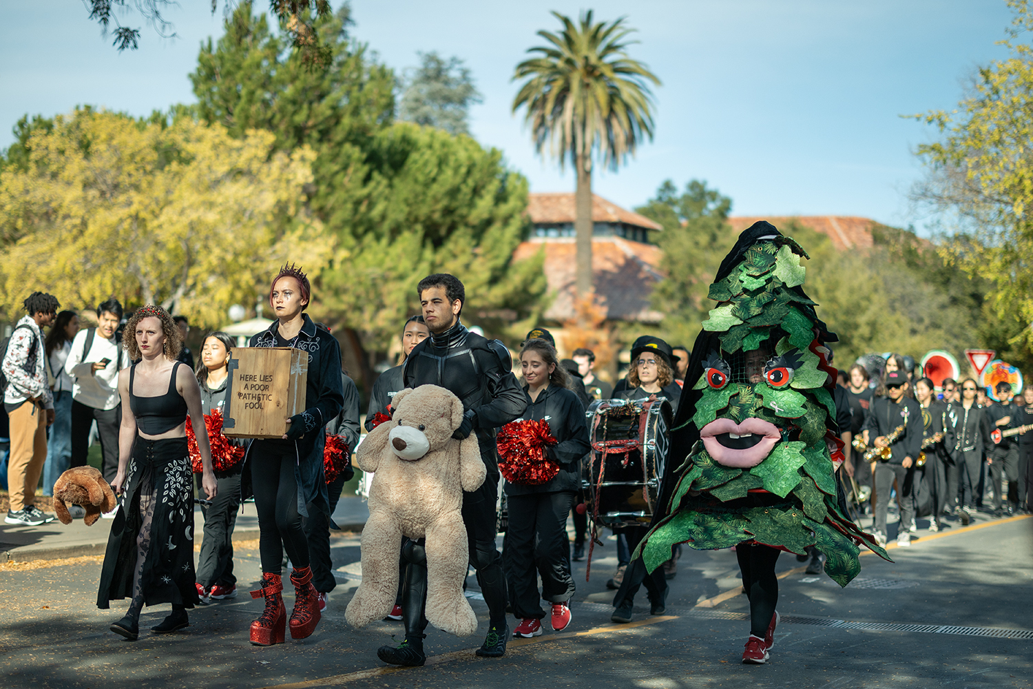 Image of the Band and the Tree marching down the road on the Stanford campus.