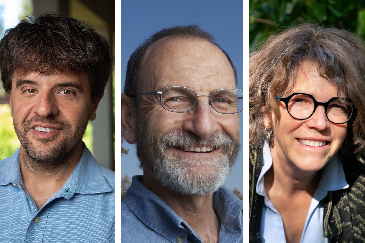 Three Stanford scholars elected to the American Philosophical Society