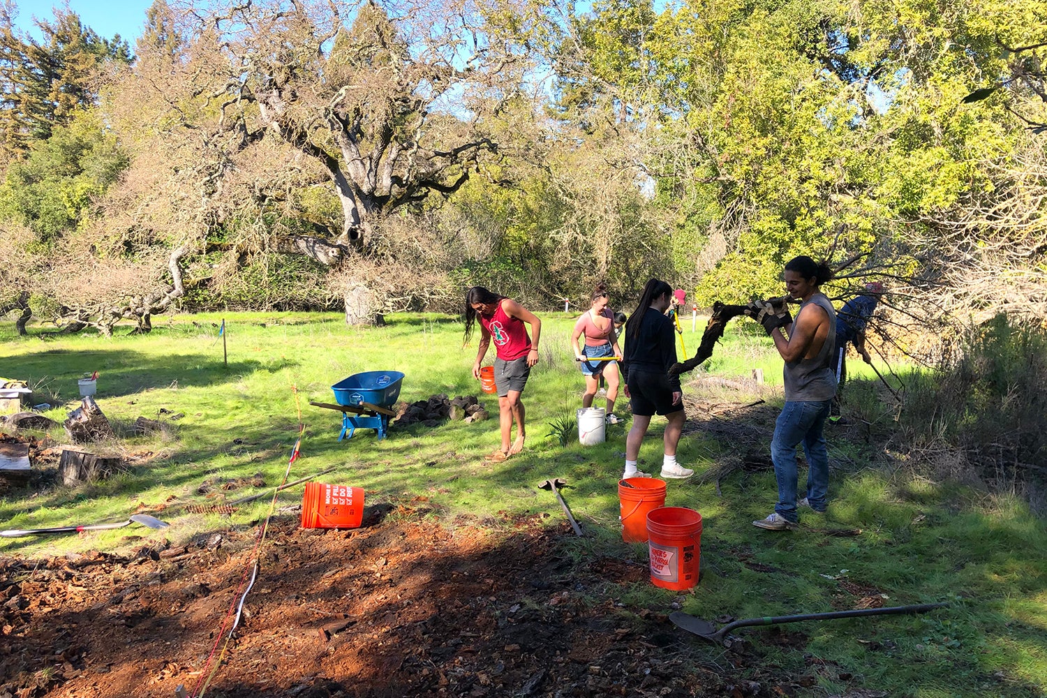 Students study indigenous communities by cultivating native plants