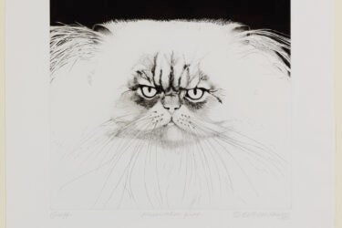 This grumpy Persian cat does not seem thrilled to be sitting for artist Beth van Hoesen, AB ’48.