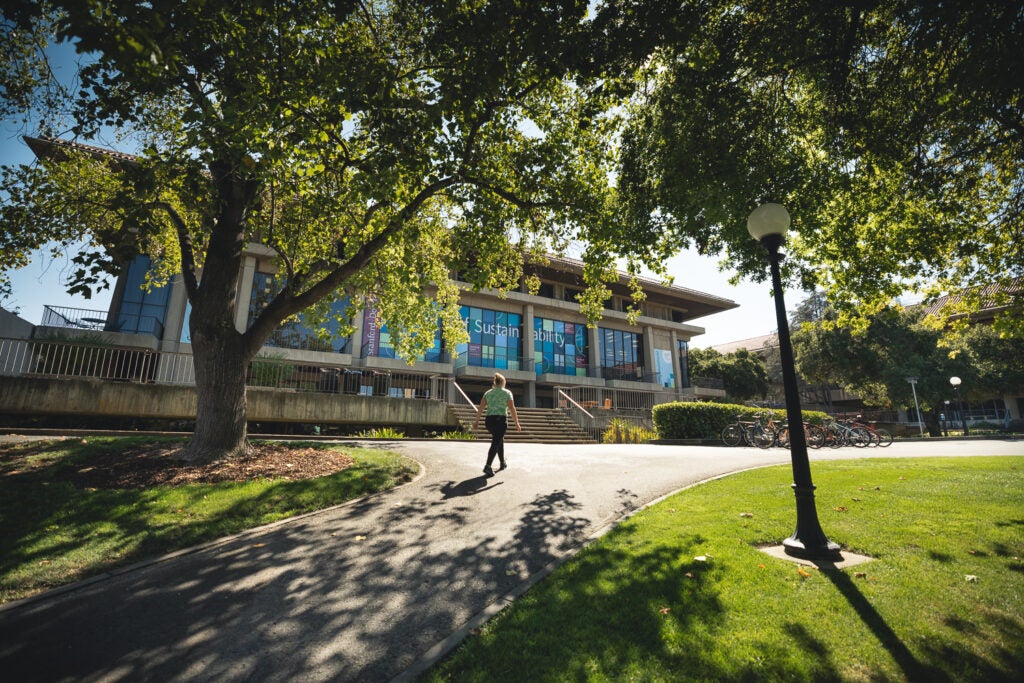 The outside of the SDSS building, surrounded by trees and seen from a distance