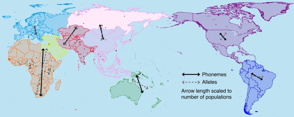 This map shows the dispersal of phonemes in comparison with dispersal of genetic traits.