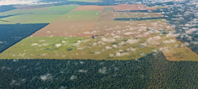 large industrial soybean field in the midst of a Brazilian forest which is home to indigenous people