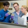Christian Choe, left, Zach Rosenthal and Maria Filsinger Interrante, aka Team Lyseia, strategize about upcoming experiments to test their new antibiotics.