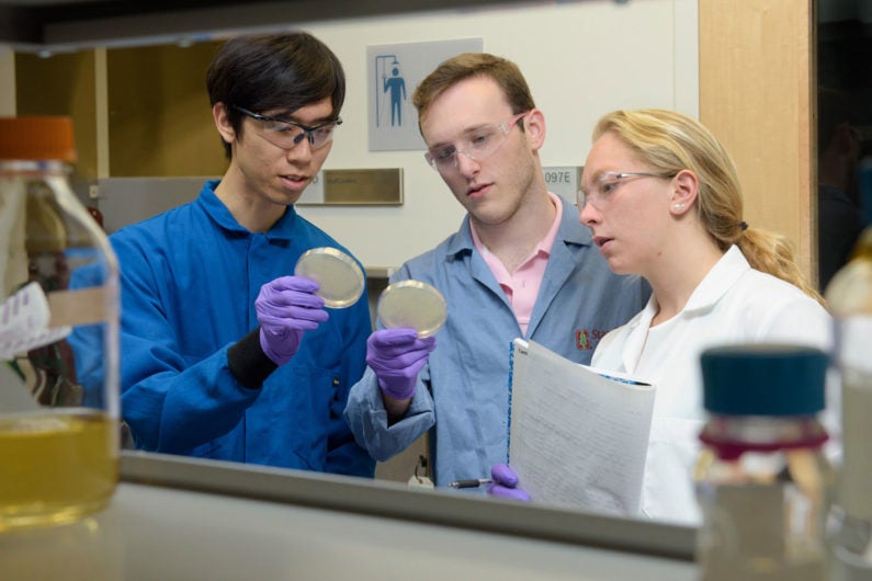 Christian Choe, left, Zach Rosenthal and Maria Filsinger Interrante, aka Team Lyseia, strategize about upcoming experiments to test their new antibiotics.