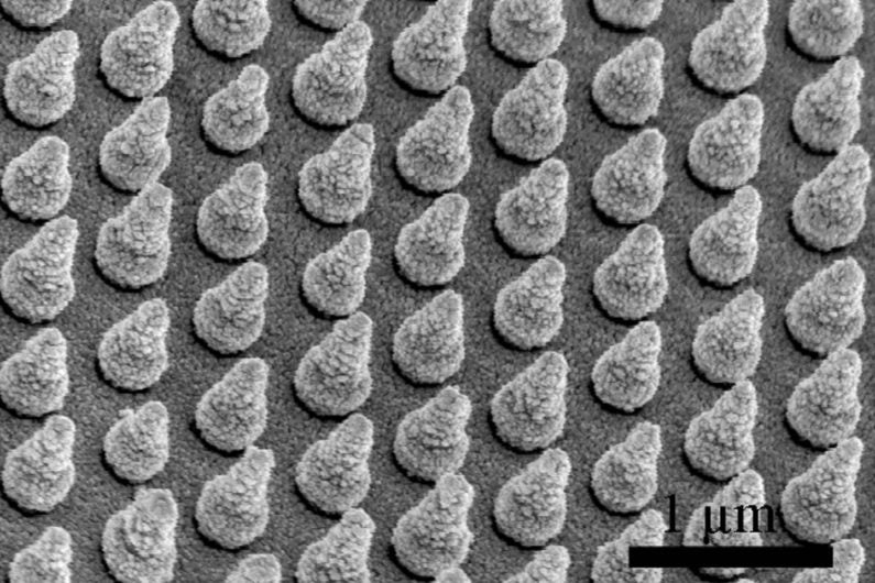 array of silicon nanocones