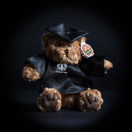 Teddy bear wearing a 2016 cap and gown