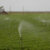 Irrigated field and oil pump in Kern County