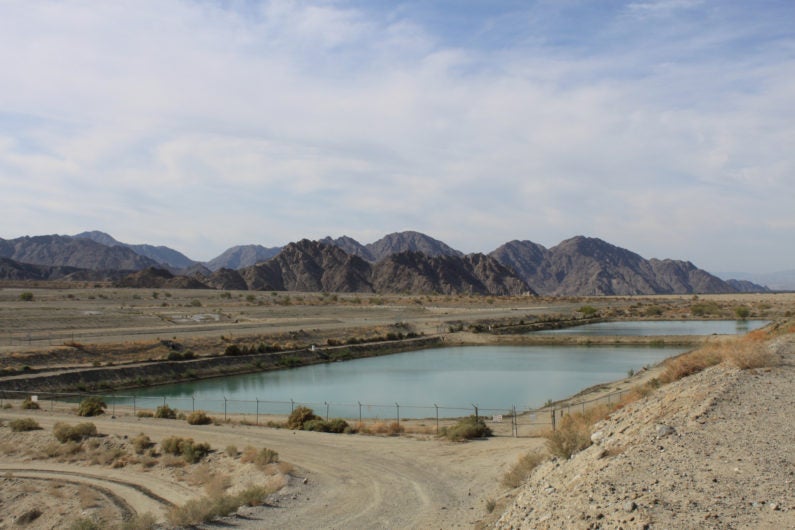 View of the Coachella Valley recharge basin in California